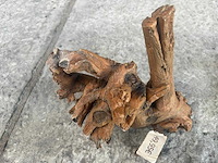 Groot lot dierenbenodigdheden (stopzetting) - afbeelding 114 van  196