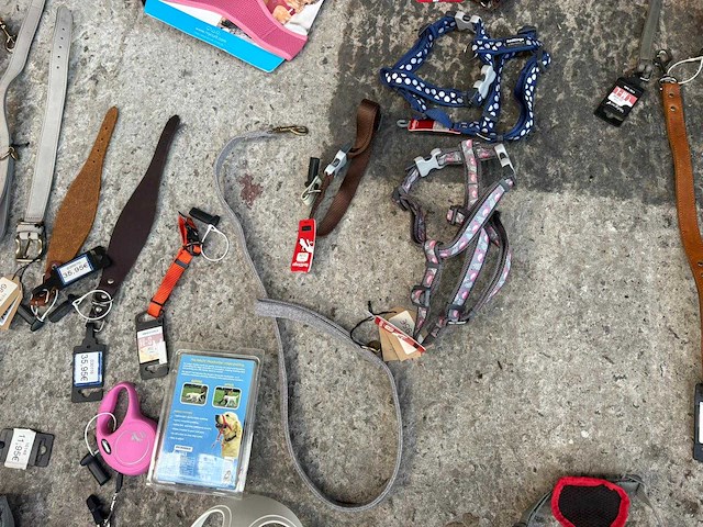 Groot lot dierenbenodigdheden (stopzetting) - afbeelding 109 van  196