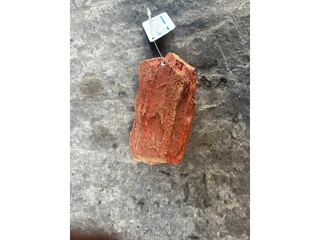 Groot lot dierenbenodigdheden (stopzetting) - afbeelding 123 van  196