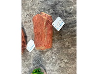 Groot lot dierenbenodigdheden (stopzetting) - afbeelding 125 van  196