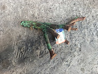 Groot lot dierenbenodigdheden (stopzetting) - afbeelding 126 van  196