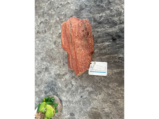 Groot lot dierenbenodigdheden (stopzetting) - afbeelding 128 van  196