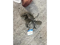 Groot lot dierenbenodigdheden (stopzetting) - afbeelding 142 van  196