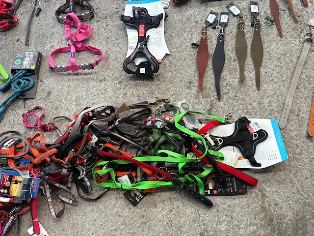 Groot lot dierenbenodigdheden (stopzetting) - afbeelding 164 van  196