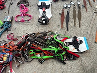 Groot lot dierenbenodigdheden (stopzetting) - afbeelding 164 van  196