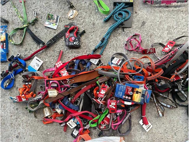 Groot lot dierenbenodigdheden (stopzetting) - afbeelding 2 van  33