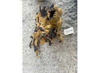 Groot lot dierenbenodigdheden (stopzetting) - afbeelding 3 van  33