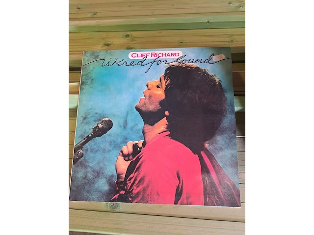Groot lot vinyl platen - afbeelding 4 van  5