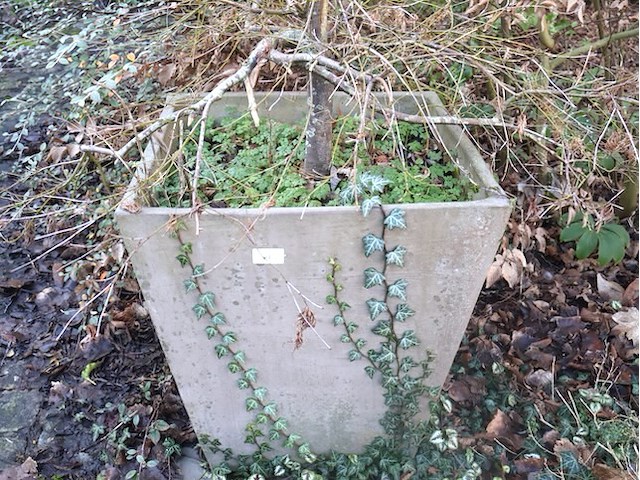 Grote bloempot (x2) - afbeelding 2 van  3