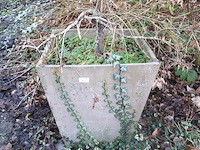 Grote bloempot (x2) - afbeelding 2 van  3