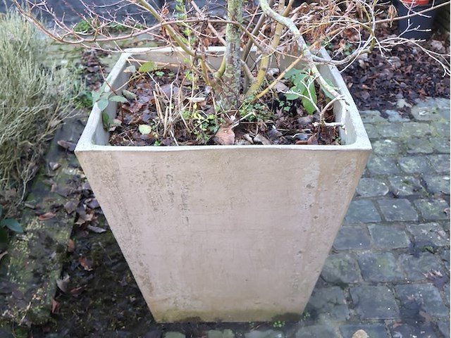 Grote bloempot (x2) - afbeelding 3 van  3