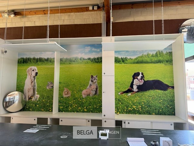 Grote kast met schuifdeuren - afbeelding 1 van  5