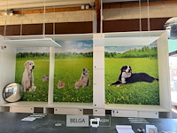 Grote kast met schuifdeuren - afbeelding 1 van  5