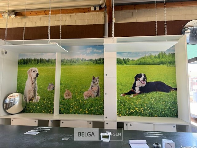 Grote kast met schuifdeuren - afbeelding 2 van  5