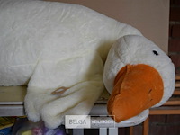 Grote knuffel eend - afbeelding 2 van  2