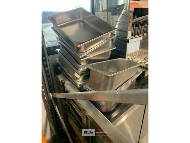 Grote koeltoog - afbeelding 3 van  4