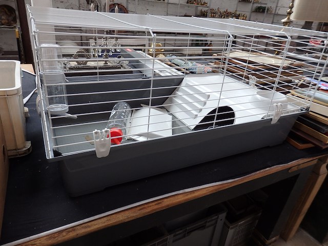 Grote kooi voor konijn of cavia 55cm x95cm - afbeelding 1 van  3