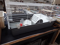 Grote kooi voor konijn of cavia 55cm x95cm - afbeelding 1 van  3