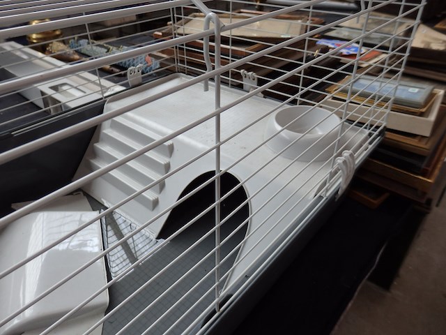 Grote kooi voor konijn of cavia 55cm x95cm - afbeelding 3 van  3