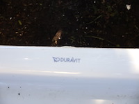 Grote partij badkamer - afbeelding 3 van  9