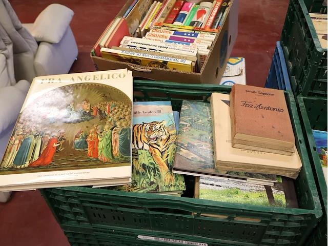 Grote partij boeken - afbeelding 5 van  9