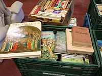 Grote partij boeken - afbeelding 5 van  9