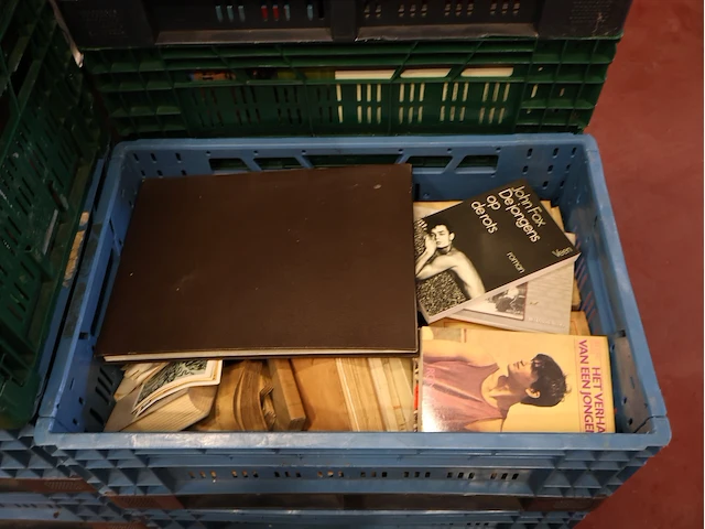 Grote partij boeken - afbeelding 8 van  9