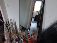Grote partij decoratie - afbeelding 11 van  19
