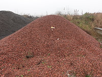 Grote partij dhz materiaal - afbeelding 24 van  40