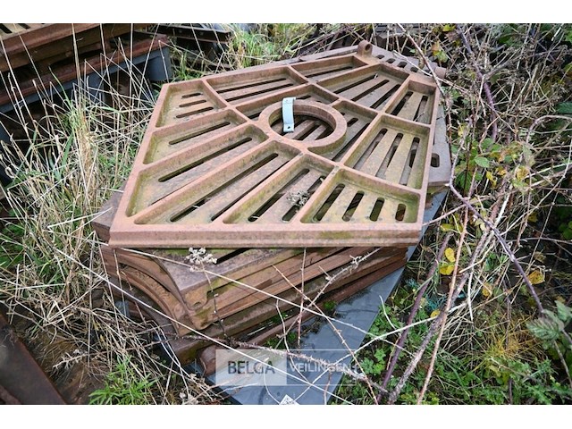 Grote partij diverse boomroosters - afbeelding 4 van  11