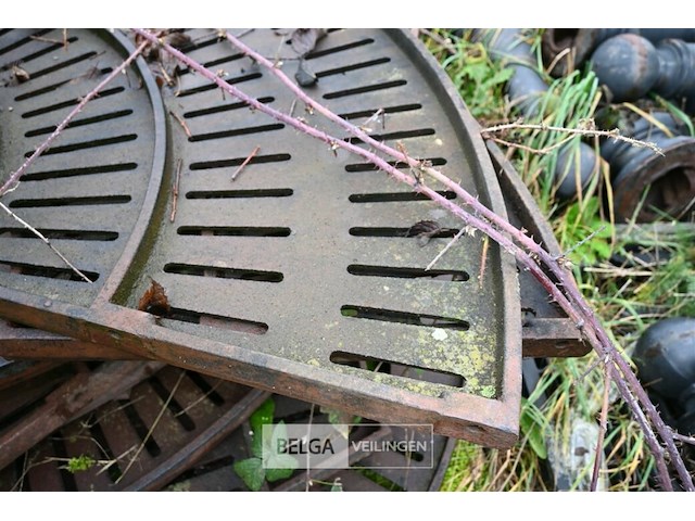 Grote partij diverse boomroosters - afbeelding 5 van  11