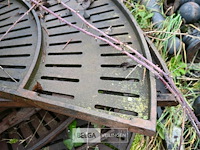 Grote partij diverse boomroosters - afbeelding 5 van  11