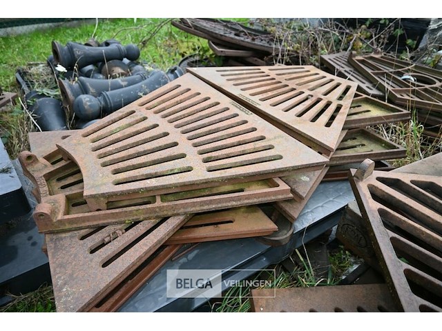 Grote partij diverse boomroosters - afbeelding 8 van  11
