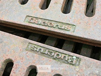 Grote partij diverse boomroosters - afbeelding 9 van  11