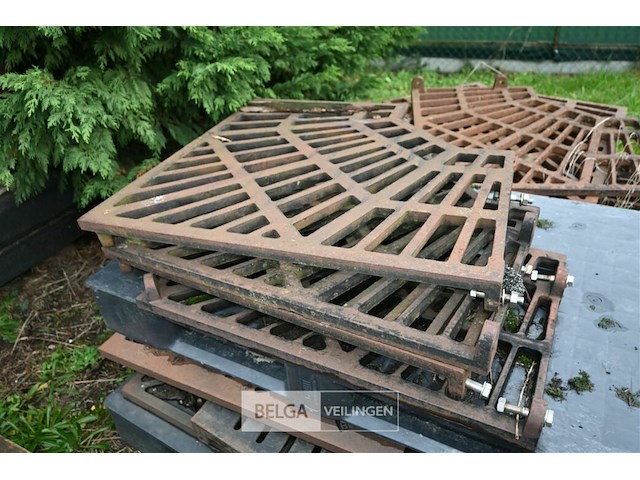 Grote partij diverse boomroosters - afbeelding 10 van  11