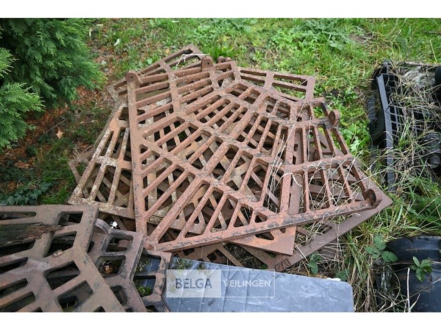 Grote partij diverse boomroosters - afbeelding 11 van  11
