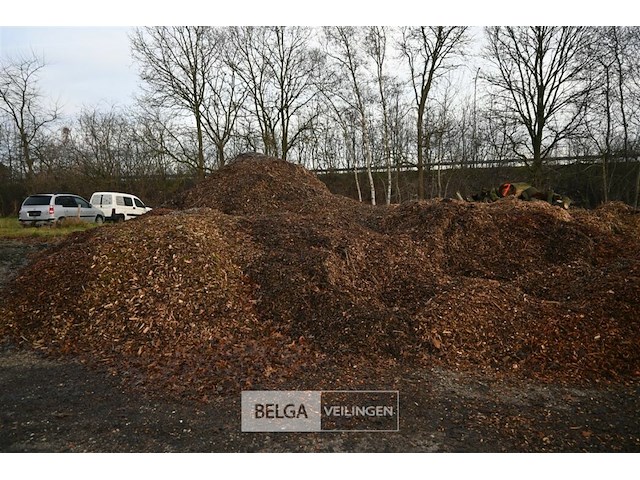 Grote partij hakselhout - afbeelding 2 van  5