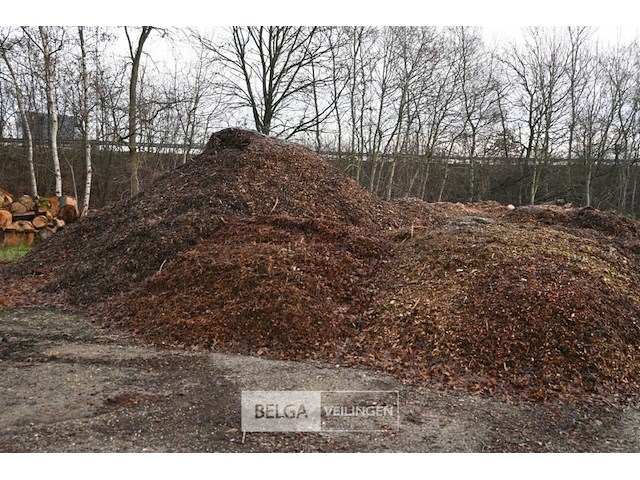 Grote partij hakselhout - afbeelding 3 van  5