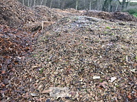 Grote partij hakselhout - afbeelding 4 van  5