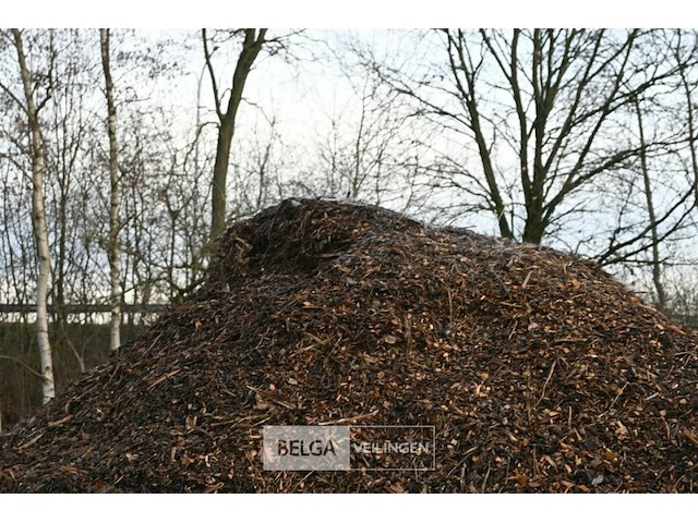 Grote partij hakselhout - afbeelding 5 van  5