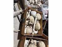 Grote partij halloween- en horrordecoratie met skeletten, maskers en accessoires - afbeelding 18 van  26