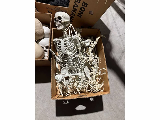 Grote partij halloween- en horrordecoratie met skeletten, maskers en accessoires - afbeelding 5 van  26
