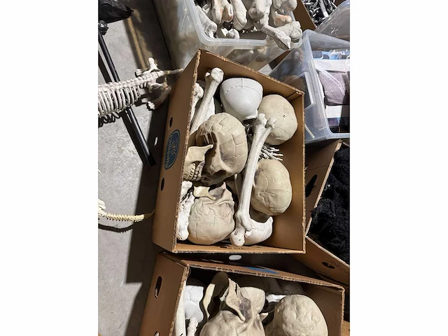 Grote partij halloween- en horrordecoratie met skeletten, maskers en accessoires - afbeelding 6 van  26