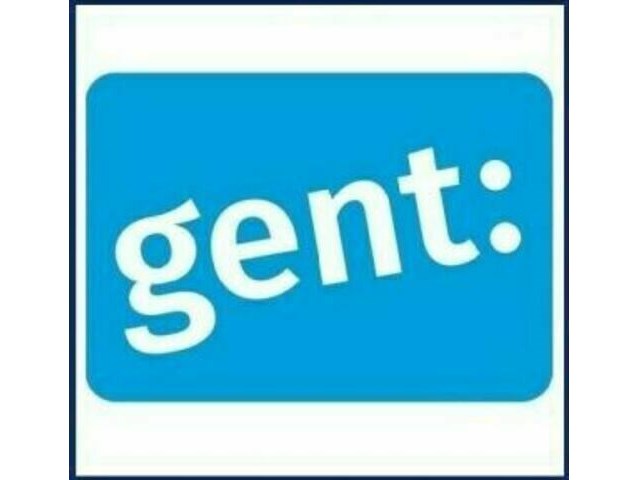 Grote partij klinkers & borduren - stad gent