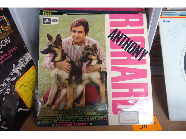 Grote partij vinylplaten - afbeelding 9 van  12