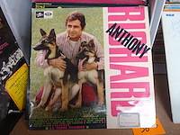 Grote partij vinylplaten - afbeelding 9 van  12