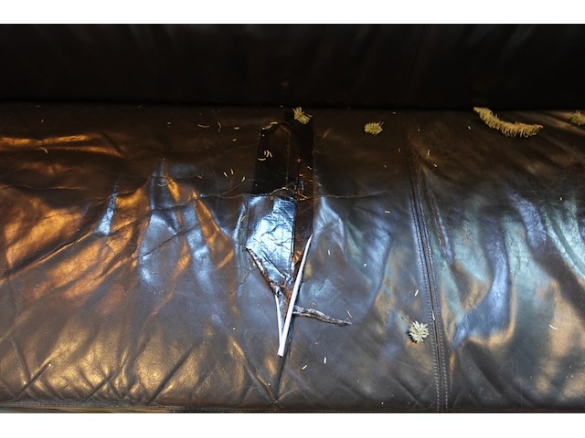 Grote partij wandzetels - afbeelding 2 van  4