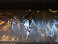 Grote partij wandzetels - afbeelding 2 van  4