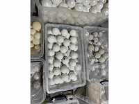 Grote partij witte kerst- en winterdecoratie, diverse soorten - afbeelding 24 van  26