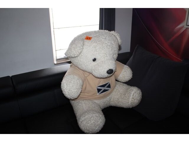 Grote teddybeer - afbeelding 1 van  3